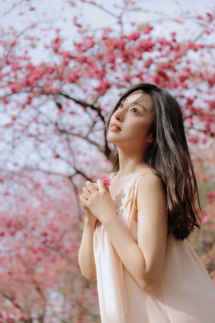 www.blog.laixipe.cn