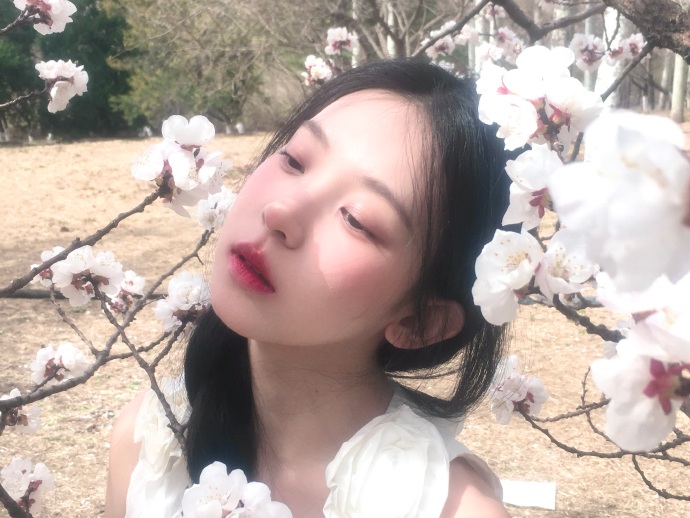 百度清风算法合规优化边界深度解析