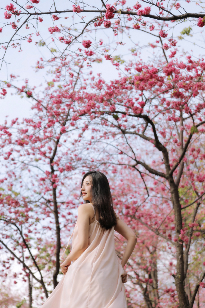 www.blog.laixipe.cn