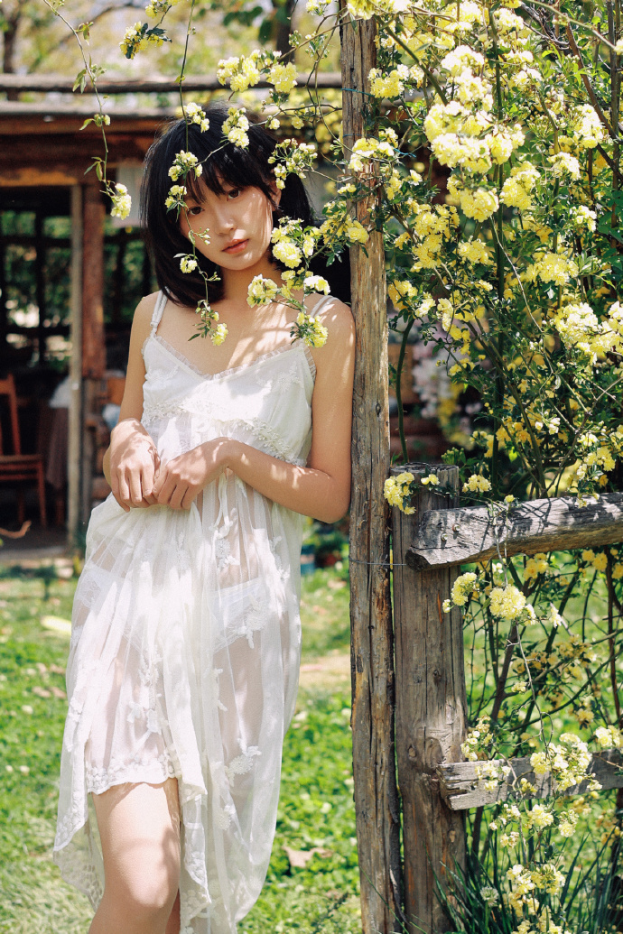 www.blog.laixipe.cn