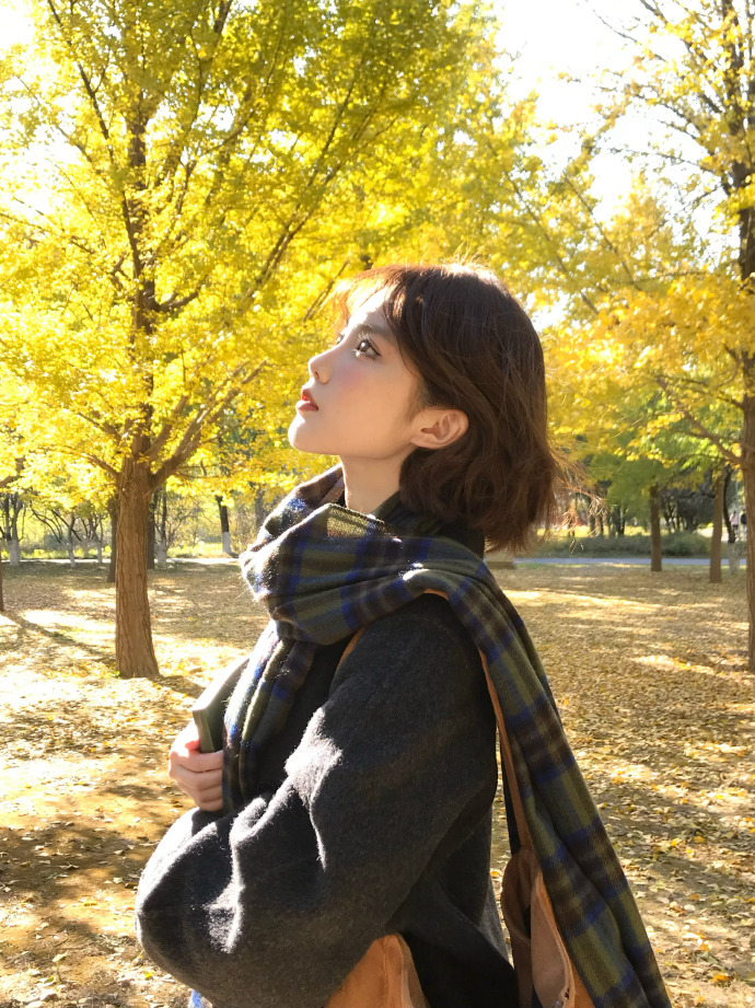 域名长期加权云端年度合规运营逻辑解析